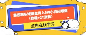 靠短剧私域掘金月入5W小白闭眼做（教程+2T资料）| 鹿鸣网创