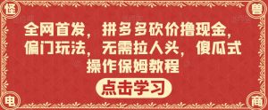 全网首发,拼多多砍价撸现金,偏门玩法,无需拉人头,傻瓜式操作保姆教程【揭秘】| 鹿鸣网创