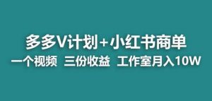 【蓝海项目】多多v计划+小红书商单一个视频三份收益工作室月入10w| 鹿鸣网创