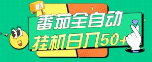 番茄全自动挂机日入50+,软件全自动,多号破百【揭秘】| 鹿鸣网创