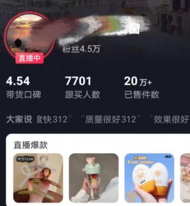 全新的蓝海赛道，抖音一元直播，不用囤货，不用出镜，照读话术也能20w+月销量【揭秘】| 鹿鸣网创