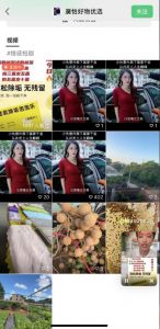 外面收费198的最新视频号连怼技术，条条原创，条条爆单【揭秘】| 鹿鸣网创