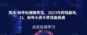 黑冰·海外短视频带货,2023年跨境新风口,海外小黄车带货新机遇| 鹿鸣网创
