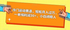 冷门运动赛道，轻松月入过万，一单纯利润30+，小白闭眼入【揭秘】| 鹿鸣网创