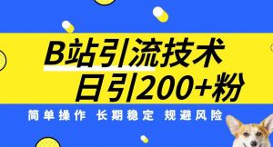 B站引流技术：每天引流200精准粉，简单操作，长期稳定，规避风险| 鹿鸣网创