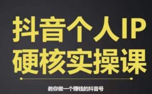 个人IP创富系统实战课，商业定位，流量打造，短视频变现，教你做个赚钱的抖音号| 鹿鸣网创
