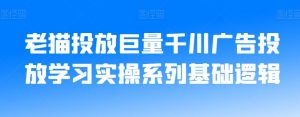 老猫投放巨量千川广告投放学习实操系列基础逻辑| 鹿鸣网创