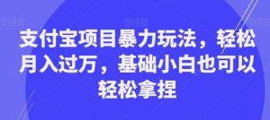 支付宝项目暴力玩法，轻松月入过万，基础小白也可以轻松拿捏【揭秘】| 鹿鸣网创