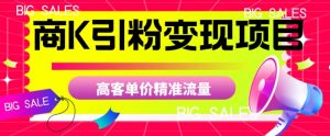 商K引粉变现项目，高客单价精准流量【揭秘】| 鹿鸣网创