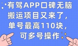 有驾APP口碑无脑搬运项目又来了，单号最高110块，可多号操作| 鹿鸣网创