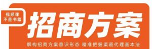 王昕招商方案,解构招商方案意识形态,精准把握渠道代理基本法| 鹿鸣网创