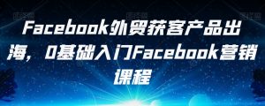 Facebook外贸获客产品出海,0基础入门Facebook营销课程| 鹿鸣网创