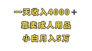 一天收入4000+，靠卖成人用品，小白轻松月入5万【揭秘】| 鹿鸣网创
