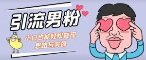 引流男粉+小白也能暴力变现的思路与实操【揭秘】| 鹿鸣网创