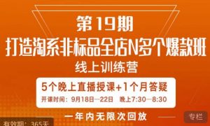 打造淘系非标全店N多个爆款线上课,5天直播课| 鹿鸣网创