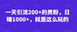 一天引流200+的男粉,日赚1000+,就是这么玩的【揭秘】| 鹿鸣网创