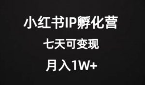 价值2000+的小红书IP孵化营项目,超级大蓝海,七天即可开始变现,稳定月入1W+| 鹿鸣网创