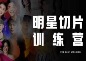 王子·明星切片线上训练营(2023),和明星一起拿红利,让明星为我们赚钱| 鹿鸣网创