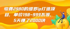 收费2980的塔罗ip打造项目,单价198-999不等,5天赚了2000块【揭秘】| 鹿鸣网创
