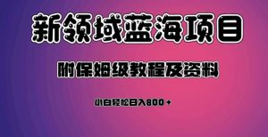 虚拟资源蓝海领域新项目，轻松日入800＋，附保姆级教程及资料| 鹿鸣网创