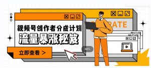 一条视频收益3000+，一条作品涨粉2000+，视频号流量爆炸·的秘籍| 鹿鸣网创