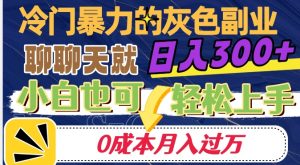 冷门暴利的副业项目，聊聊天就能日入300+，0成本月入过万【揭秘】| 鹿鸣网创