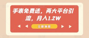 手表免费送，两大平台引流，月入1.2W【揭秘】| 鹿鸣网创