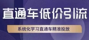 直通车低价引流课，系统化学习直通车精准投放| 鹿鸣网创