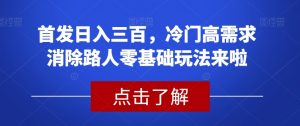 首发日入三百，冷门高需求消除路人零基础玩法来啦【揭秘】| 鹿鸣网创