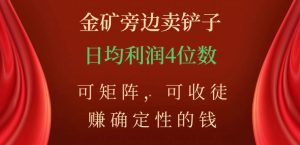 金矿旁边卖铲子，赚确定性的钱，可矩阵，可收徒，日均利润4位数【揭秘】| 鹿鸣网创
