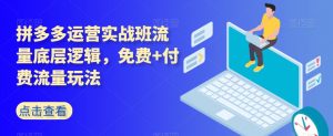 拼多多运营实战班流量底层逻辑，免费+付费流量玩法| 鹿鸣网创