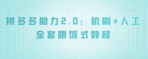拼多多助力2.0:机刷+人工全套喂饭式教程【揭秘】| 鹿鸣网创