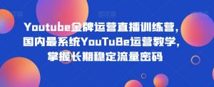 Youtube金牌运营直播训练营,国内最系统YouTuBe运营教学,掌握长期稳定流量密码| 鹿鸣网创