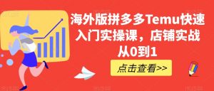 海外版拼多多Temu快速入门实操课,店铺实战从0到1| 鹿鸣网创