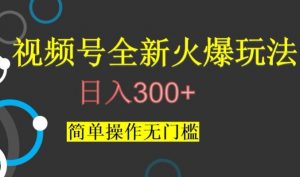 视频号最新爆火玩法，日入300+，简单操作无门槛【揭秘】| 鹿鸣网创