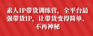 素人IP带货训练营，全平台最强带货IP，让带货变得简单、不再神秘| 鹿鸣网创