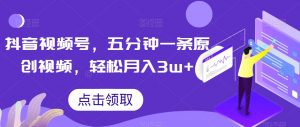 抖音视频号，五分钟一条原创视频，轻松月入3w+【独家秘诀，传授赚钱方法】【揭秘】| 鹿鸣网创