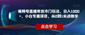 视频号直播带货冷门玩法，日入1000+，小白专属项目，从0到1实战教学【揭秘】| 鹿鸣网创