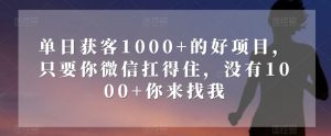 单日获客1000+的好项目，只要你微信扛得住，没有1000+你来找我【揭秘】| 鹿鸣网创