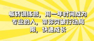 板砖训练营,用一年时间成为专业的人,带你突破行动局限,快速成长| 鹿鸣网创