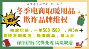 利用电商平台冬季销售取暖用品欺诈行为合理制裁店铺，单日入900+【仅揭秘】| 鹿鸣网创