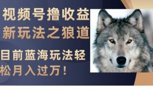 视频号撸收益新玩法之狼道,目前蓝海玩法,轻松月入过万【揭秘】| 鹿鸣网创