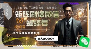 矩阵刷爆微信蝴蝶号创作者分成计划收益的新玩法，日入2000+【揭秘】| 鹿鸣网创