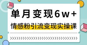 单月变现6W+,抖音情感粉引流变现实操课,小白可做,轻松上手,独家赛道【揭秘】| 鹿鸣网创