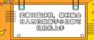卖莆田篮球鞋，暴利掘金日入四位数新手小白都可以轻松上手【揭秘】| 鹿鸣网创