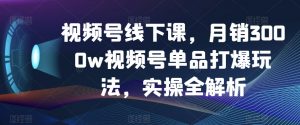 视频号线下课，月销3000w视频号单品打爆玩法，实操全解析| 鹿鸣网创