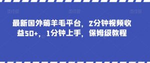 最新国外薅羊毛平台,2分钟视频收益50+,1分钟上手,保姆级教程【揭秘】| 鹿鸣网创