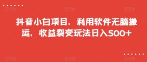 抖音小白项目，利用软件无脑搬运，收益裂变玩法日入500+【揭秘】| 鹿鸣网创