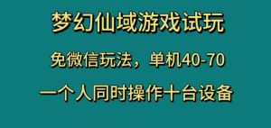 梦幻仙域游戏试玩,免微信玩法,单机40-70,一个人同时操作十台设备【揭秘】| 鹿鸣网创