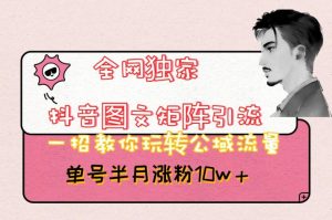 全网独家抖音图文矩阵引流,一招教你玩转公域流量,单号半月涨粉10w+【揭秘】| 鹿鸣网创